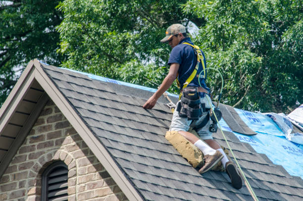 Best Storm Damage Roof Repair  in Wendover, UT